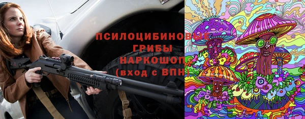 герыч Алексин