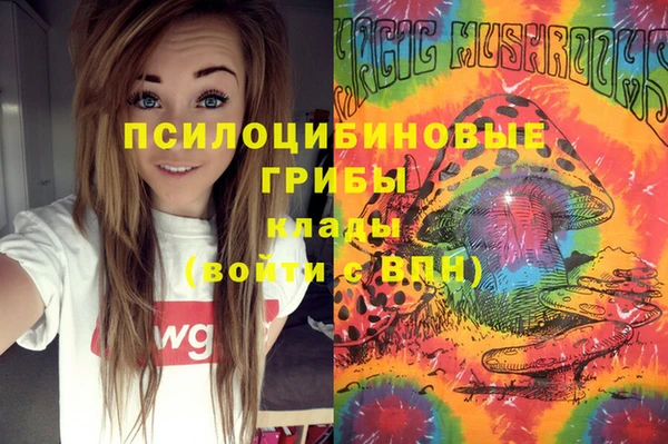 герыч Алексин